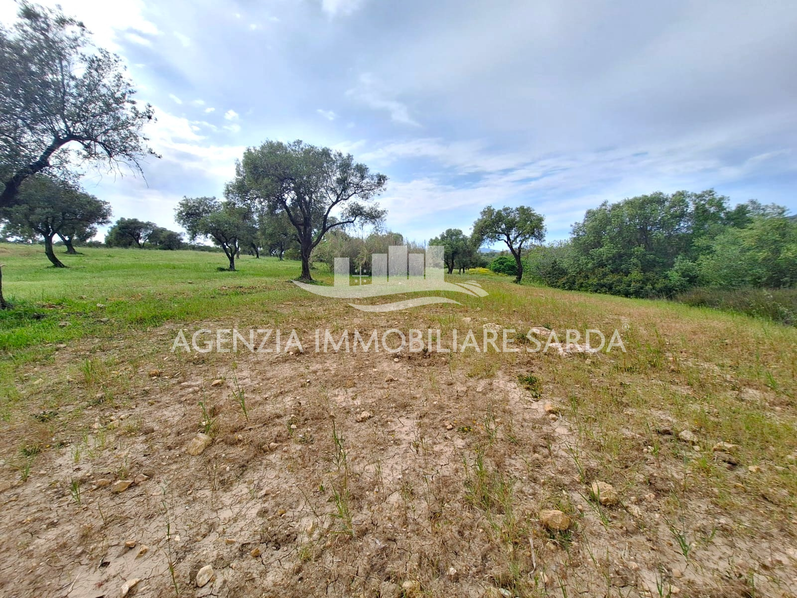 Terreno Edificabile in vendita a Alghero
