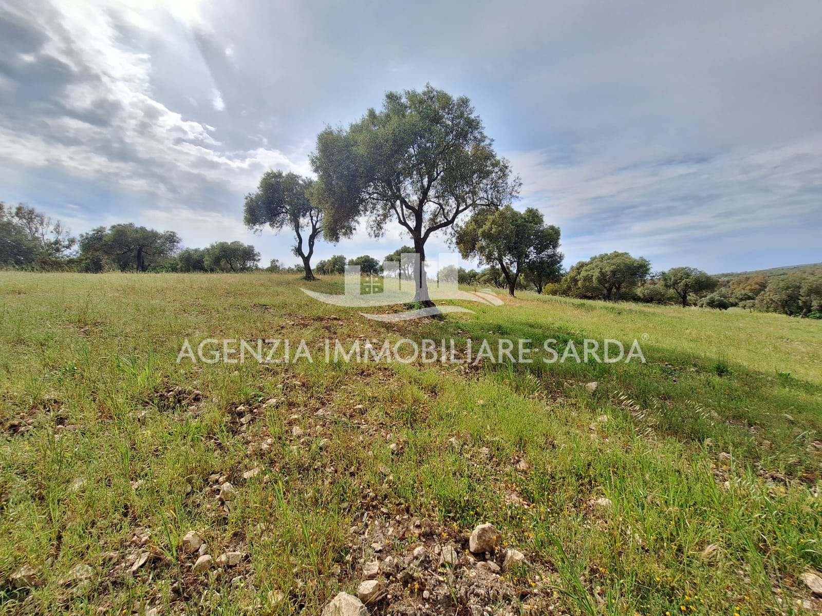 Terreno Edificabile in vendita a Alghero