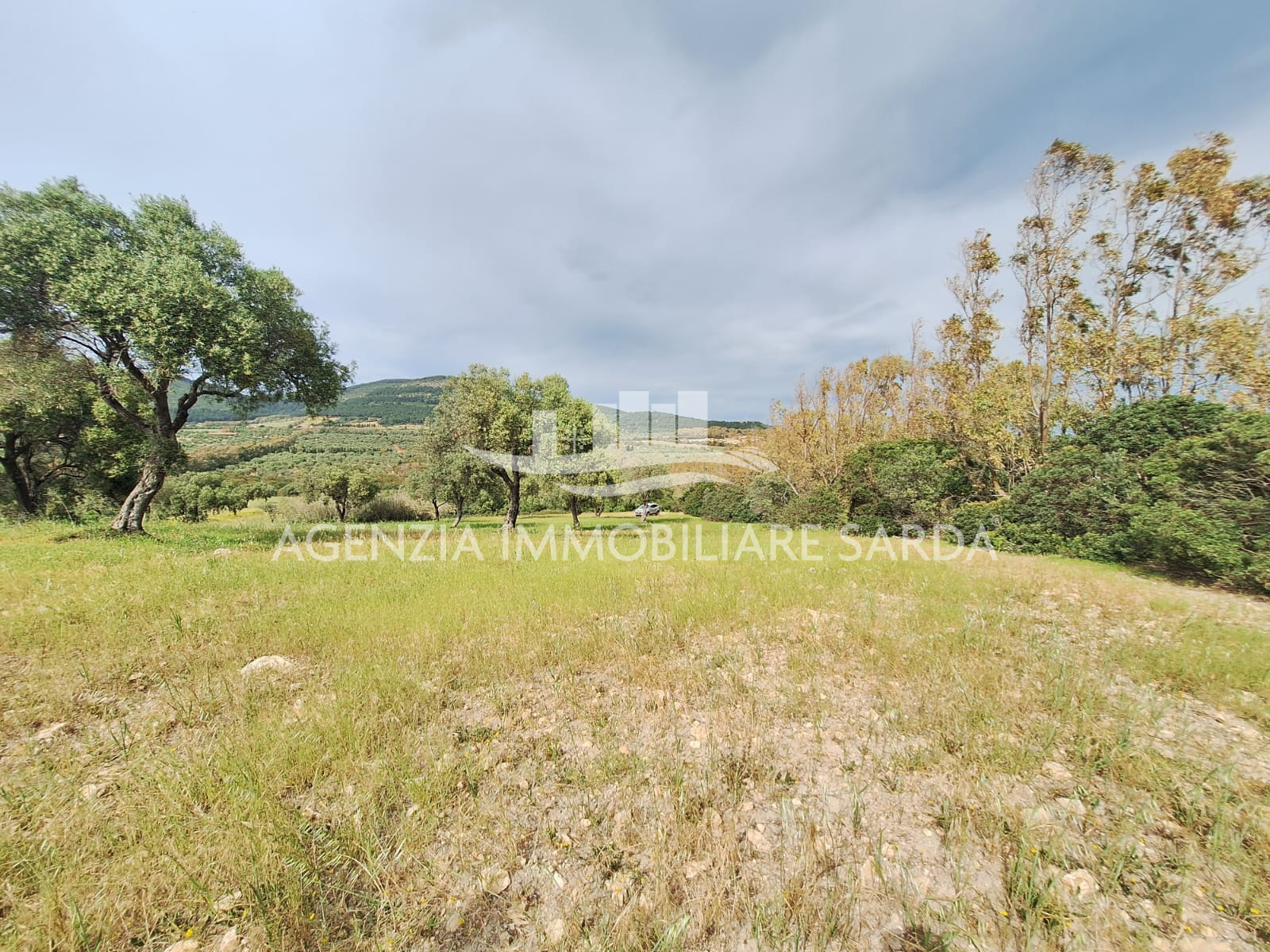 Terreno Edificabile in vendita a Alghero