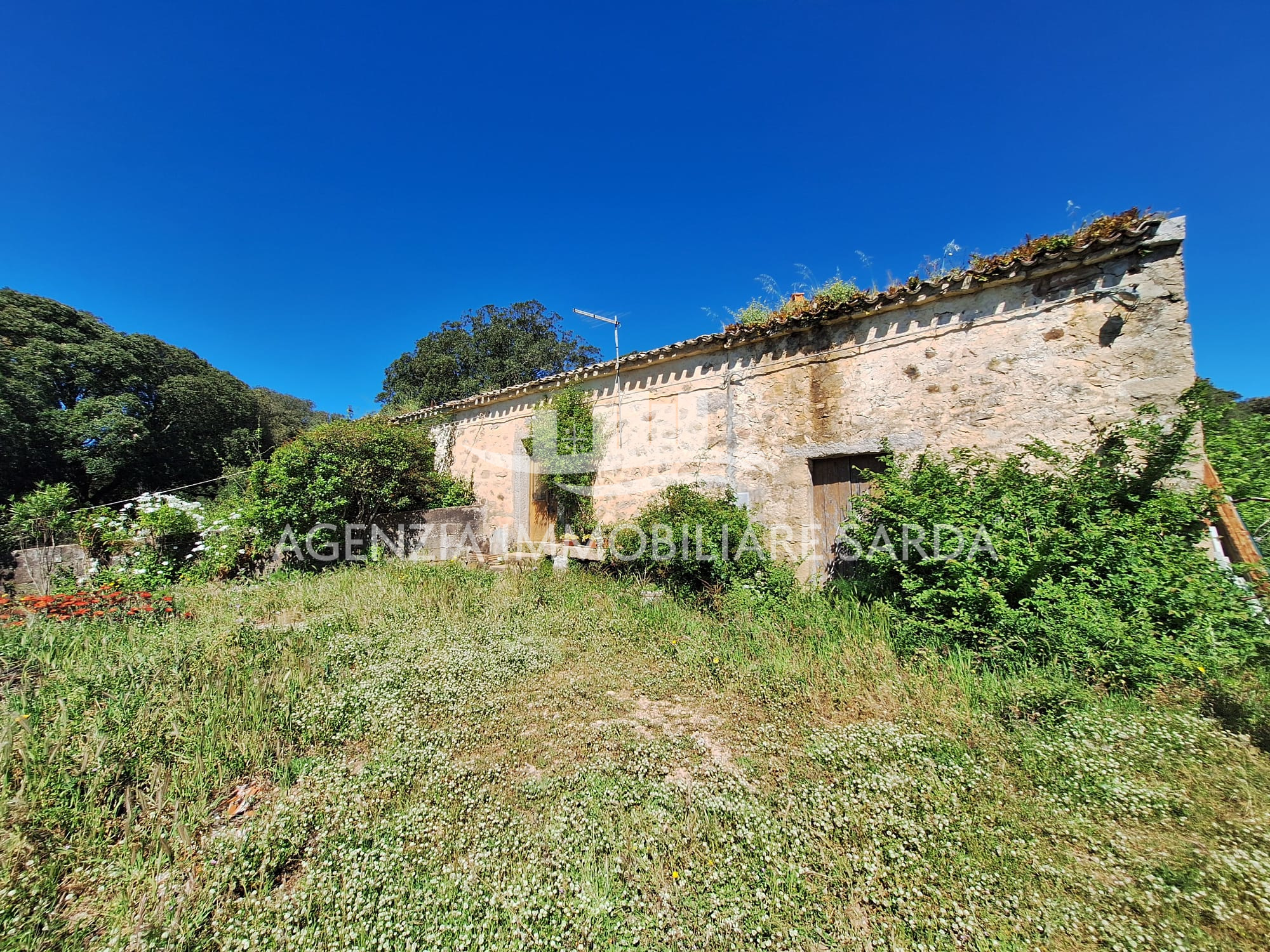 Casa indipendente con giardino a Aglientu