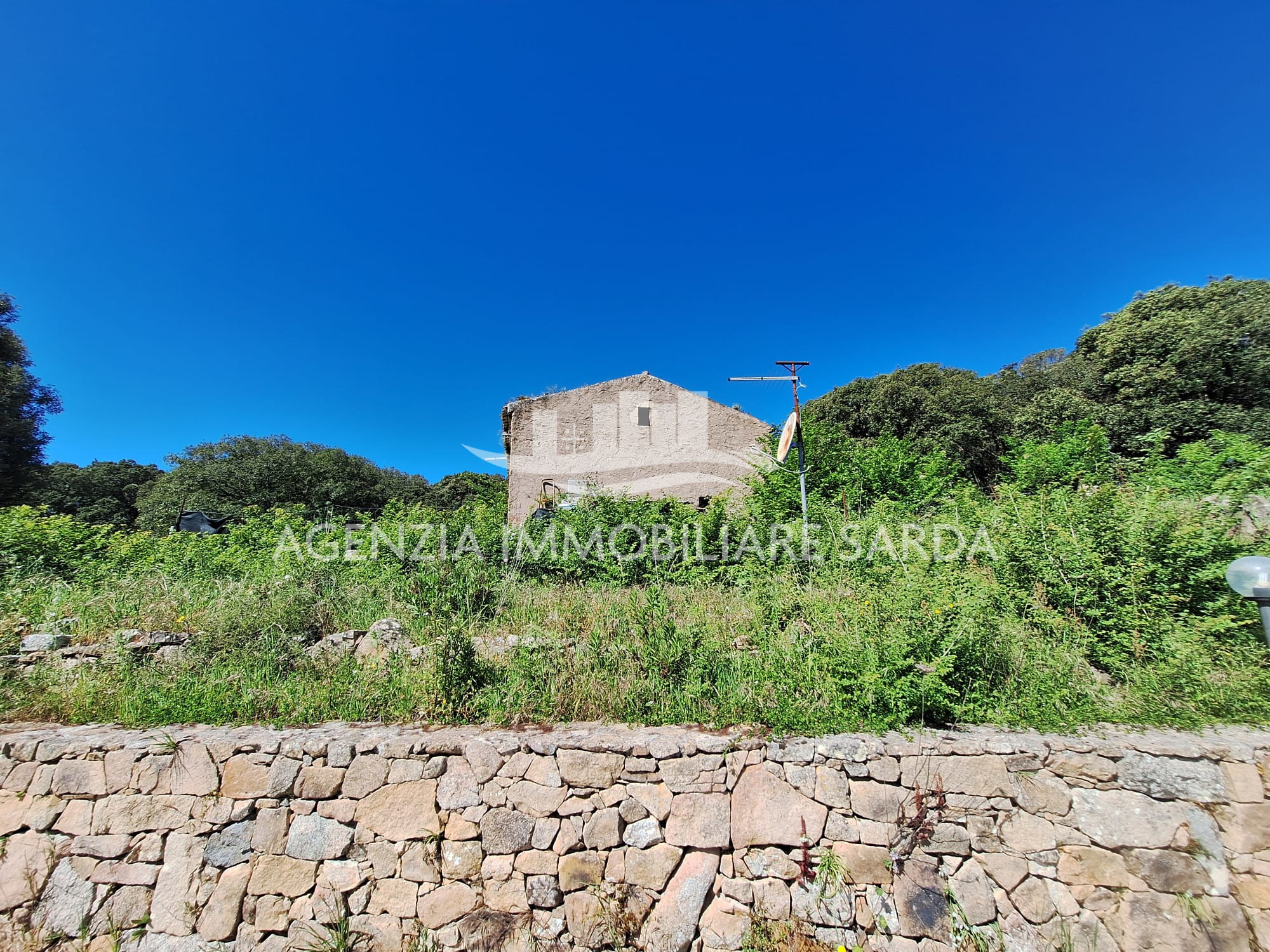 Casa indipendente con giardino a Aglientu