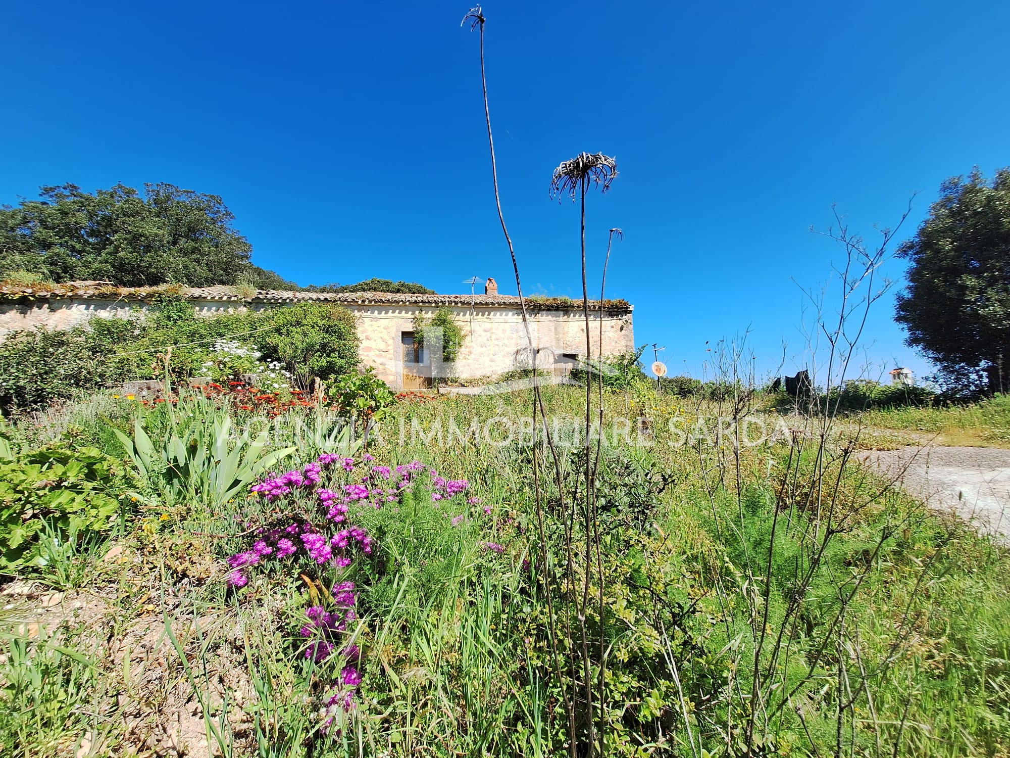 Casa indipendente con giardino a Aglientu