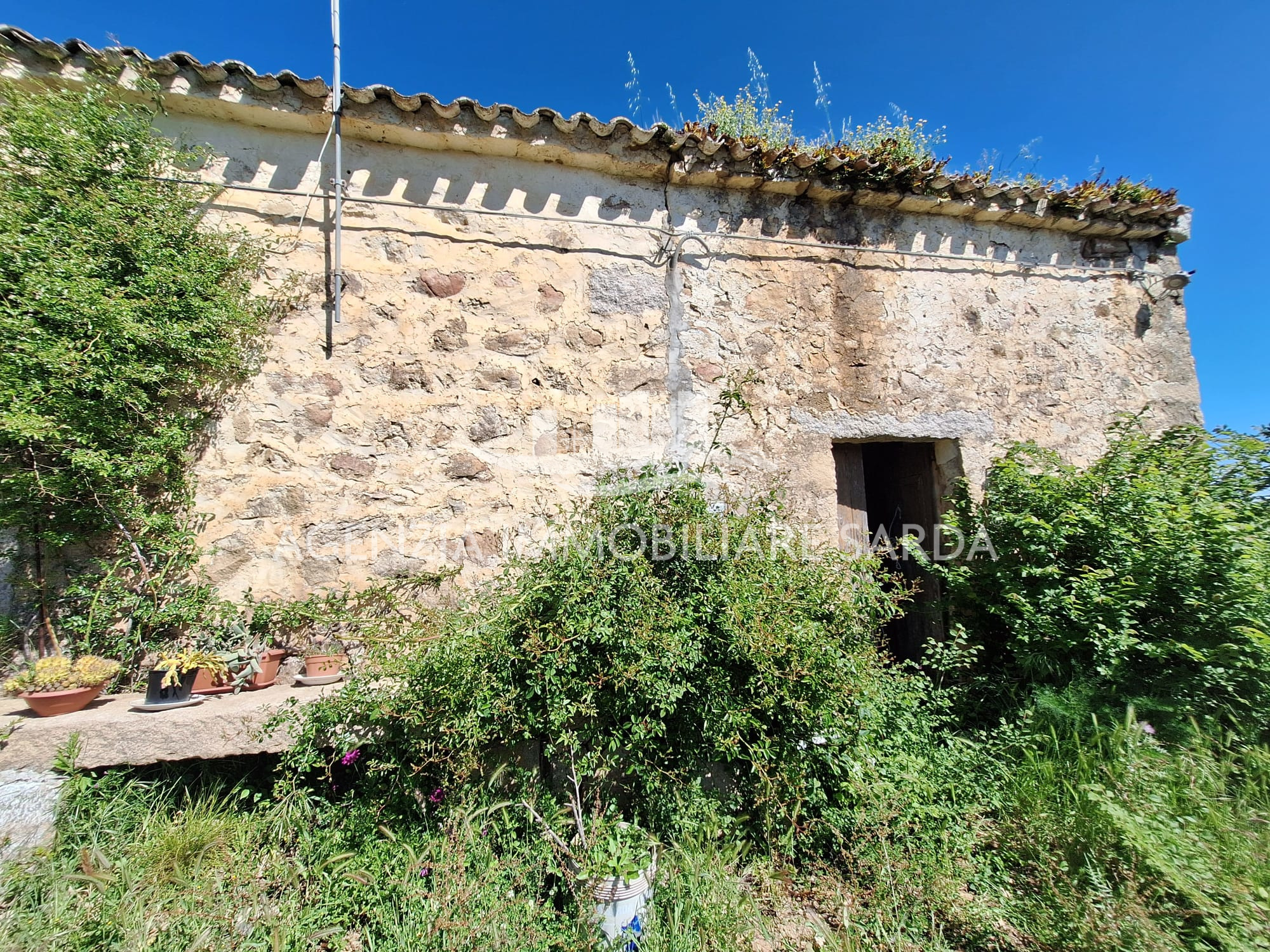 Casa indipendente con giardino a Aglientu