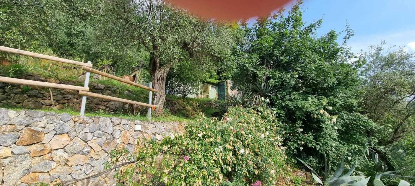 Casa indipendente con giardino a Carrara