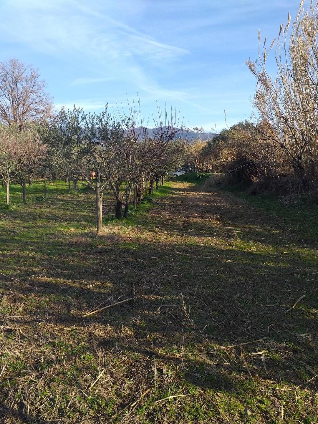 Terreno Industriale in vendita a Castelnuovo Magra