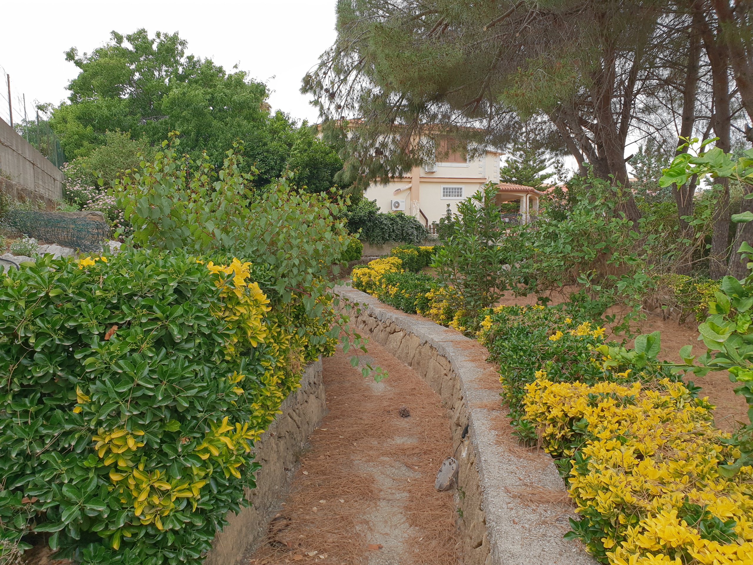 Terreno Edificabile in vendita, Siracusa belvedere citt giardino