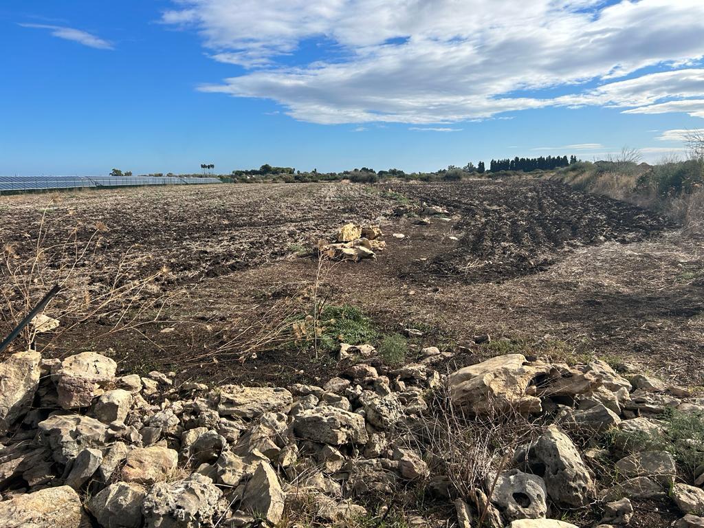 Terreno Agricolo in vendita, Siracusa circuito - ciane