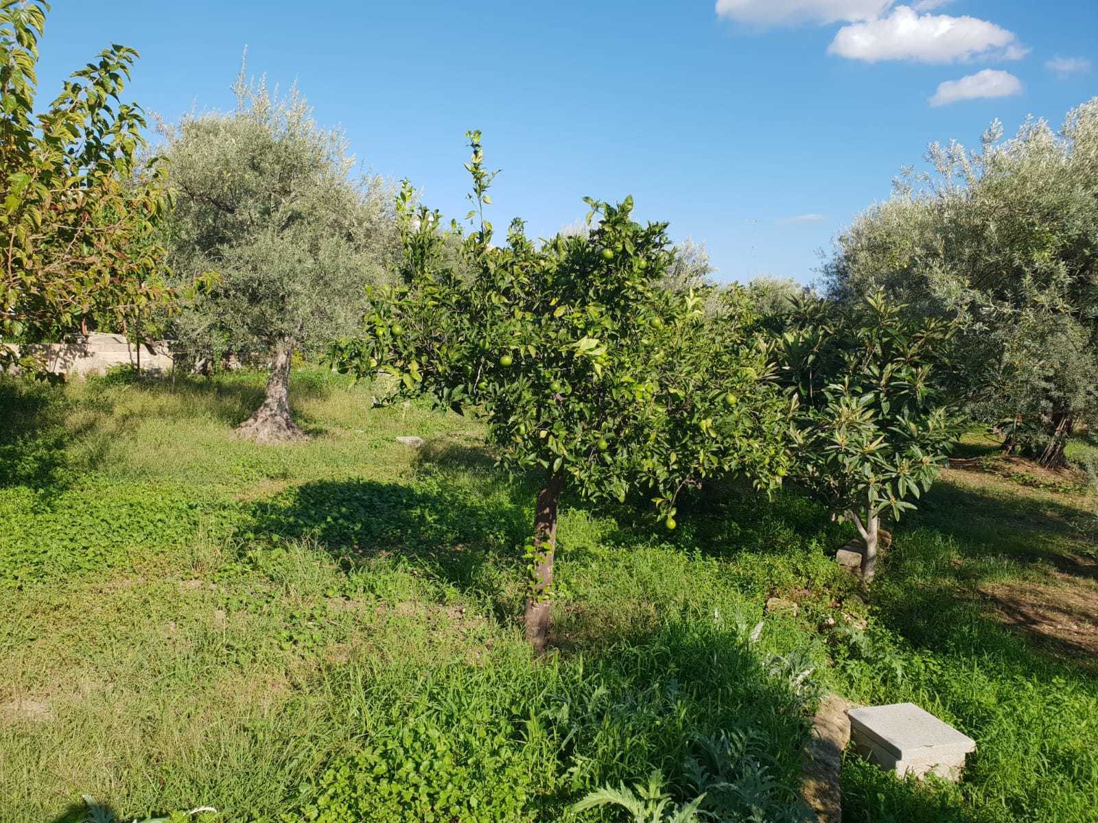 Terreno Edificabile in vendita, Siracusa strada per floridia tremilia