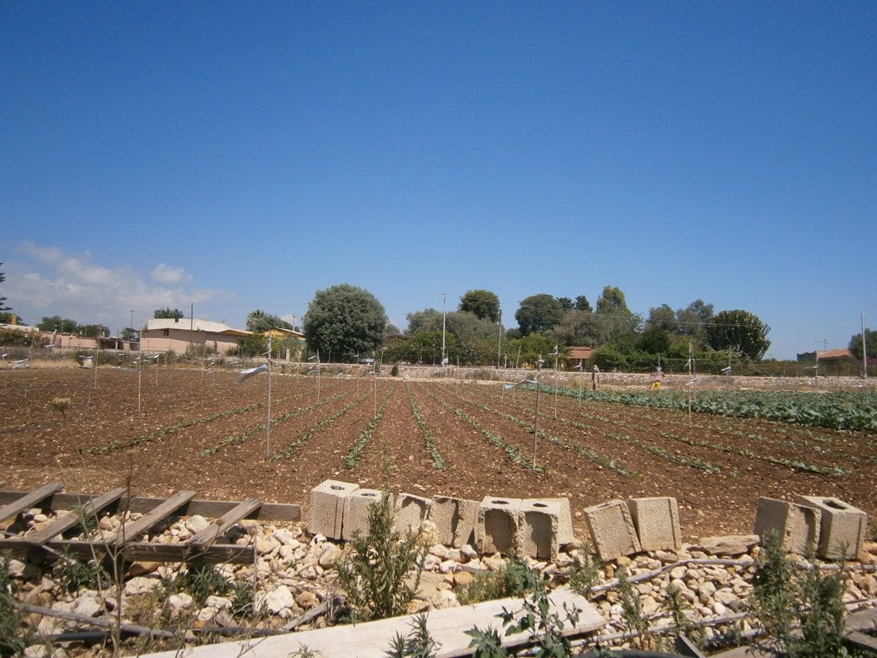 immagine annuncio 3 di 6