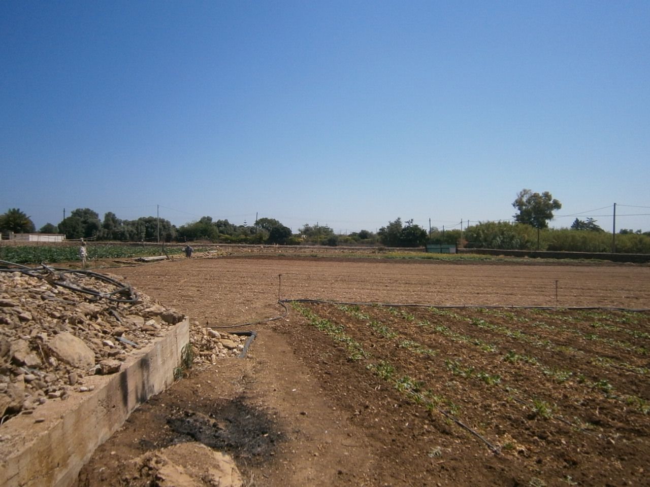 immagine annuncio 4 di 6