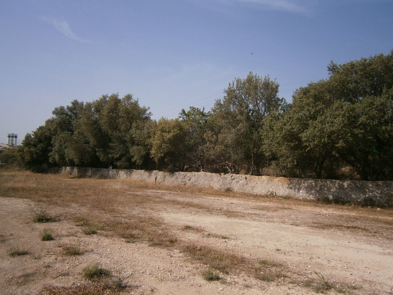 Terreno Agricolo in affitto a Priolo Gargallo