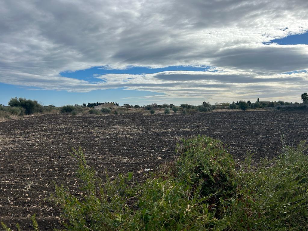 Terreno Agricolo in vendita, Siracusa circuito - ciane