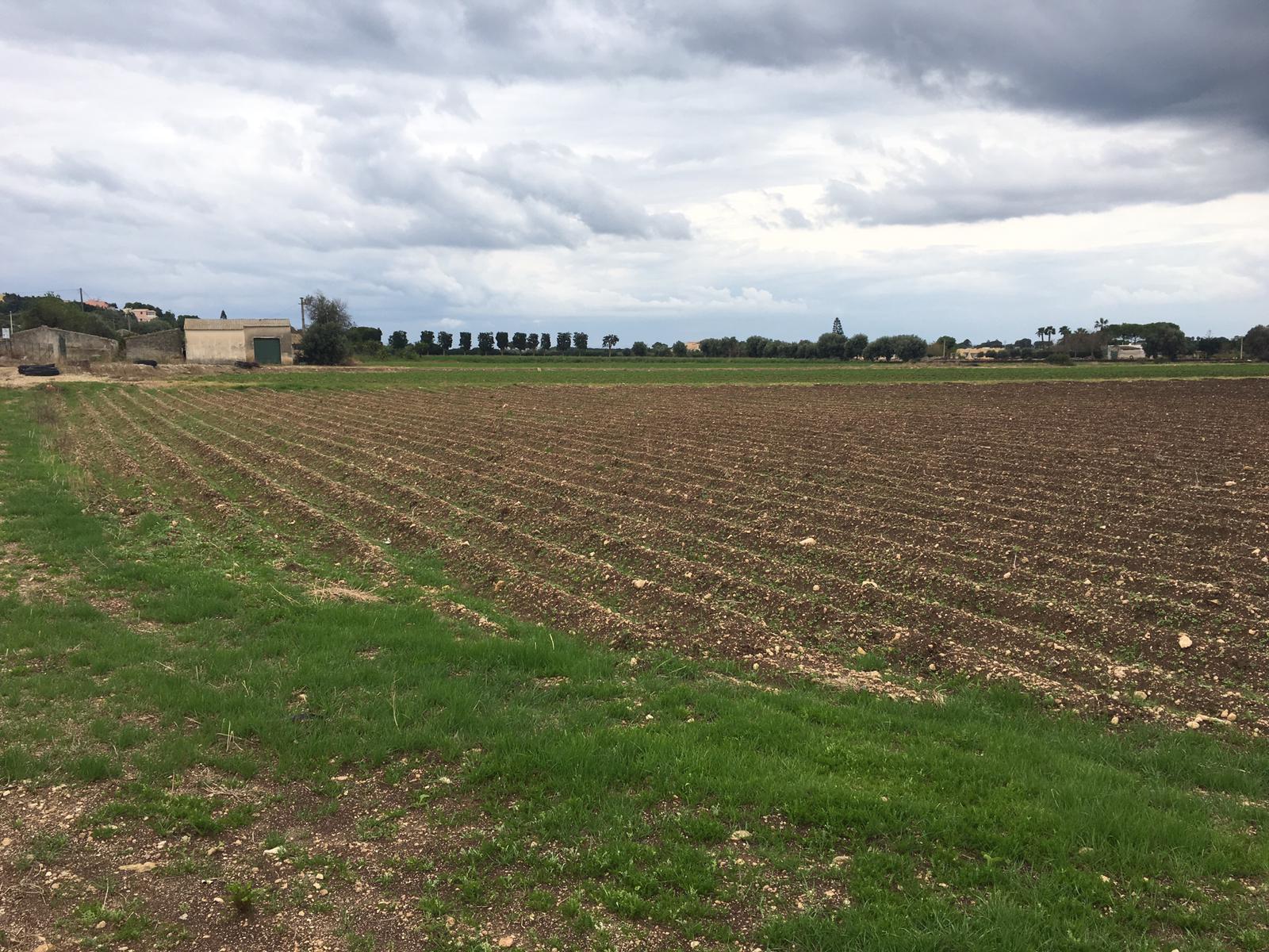 Terreno Agricolo in vendita, Siracusa arenella-plemmirio