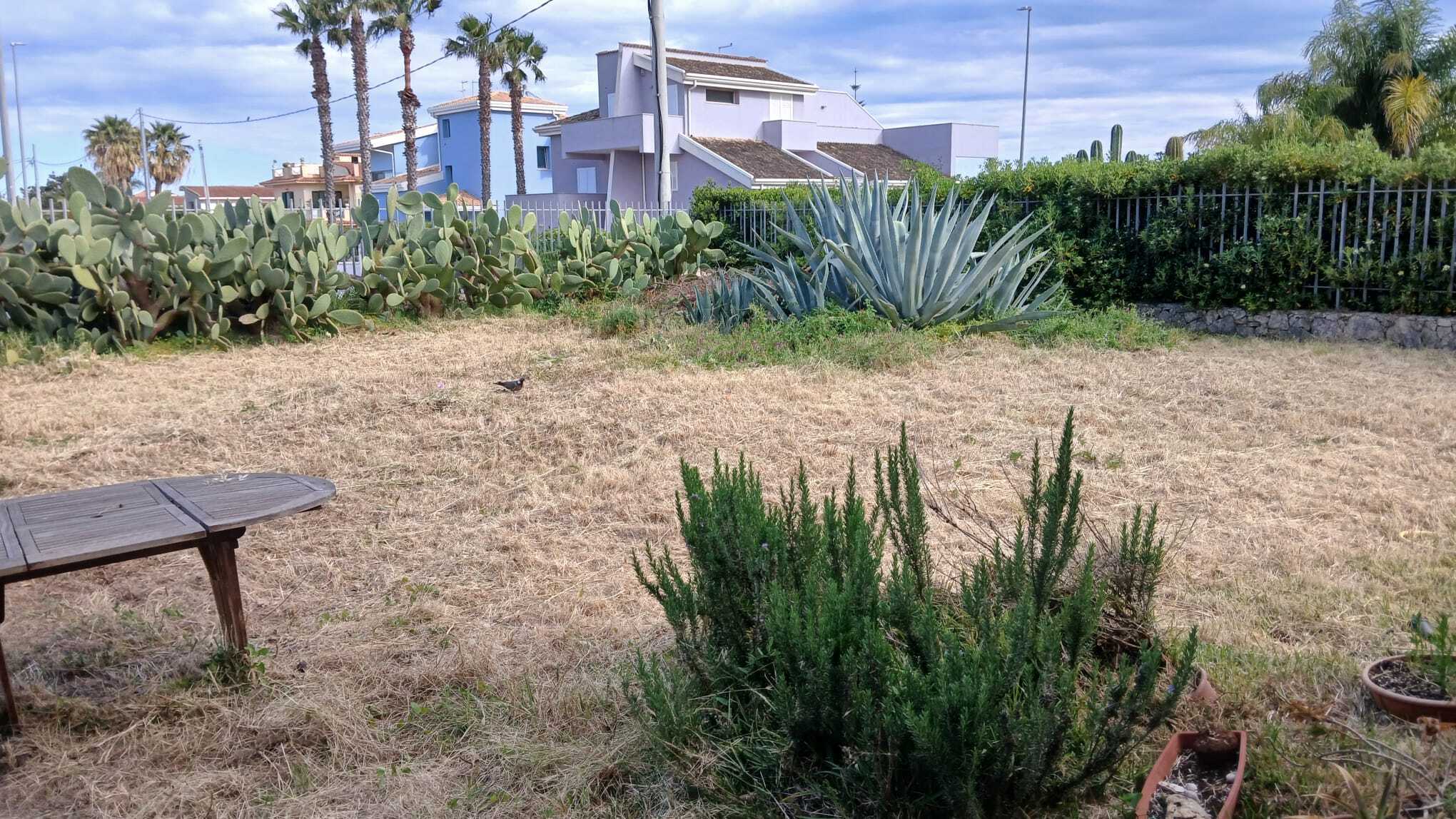 Casa indipendente con giardino, Siracusa isola sacramento