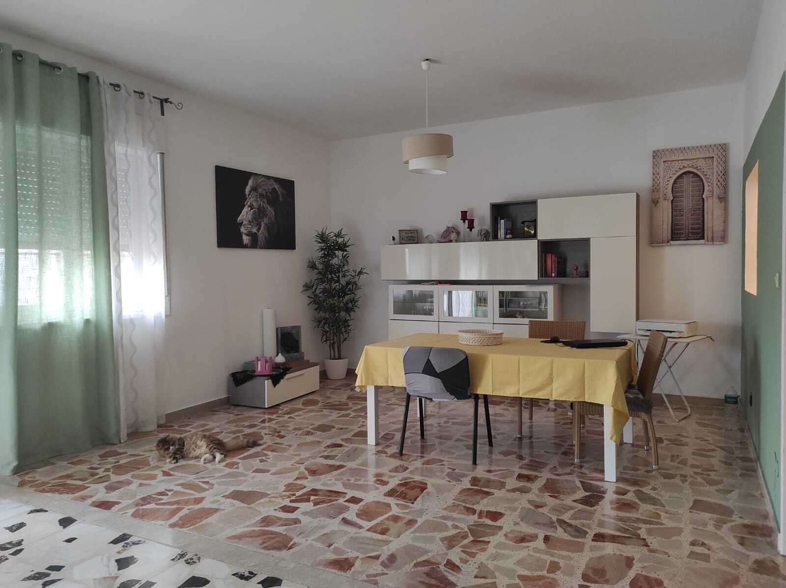 Quadrilocale in affitto, Siracusa tisia tica zecchino