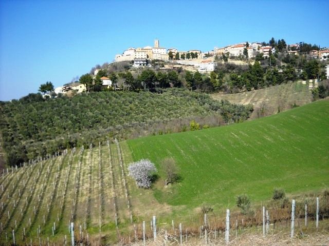 Terreno Edificabile nuovo in via dei piceni, Castorano