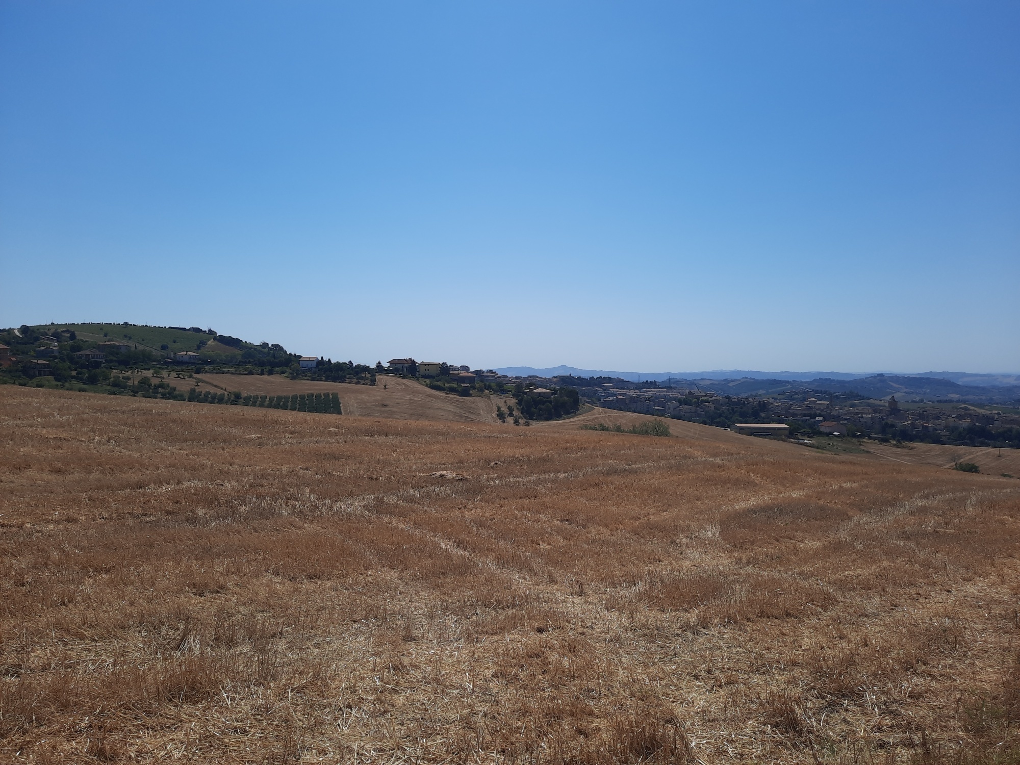 Terreno Agricolo vista mare a Offida