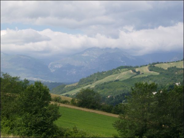 immagine annuncio 4 di 6