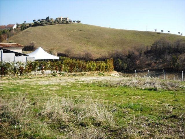 Terreno Edificabile nuovo in contrada, Castorano