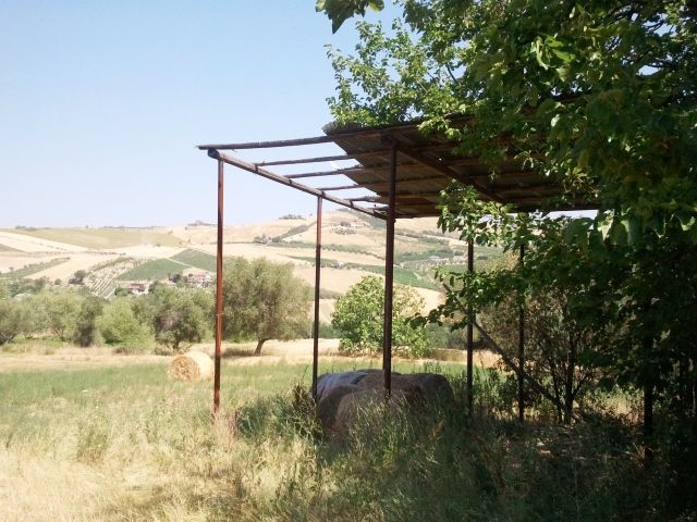 Casa indipendente con giardino a Offida
