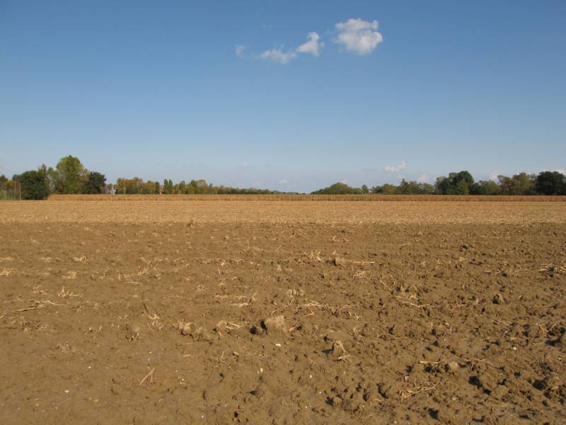 Terreno Agricolo in vendita a Falconara Marittima