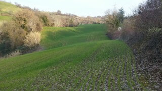Terreno Agricolo in vendita a Mondavio