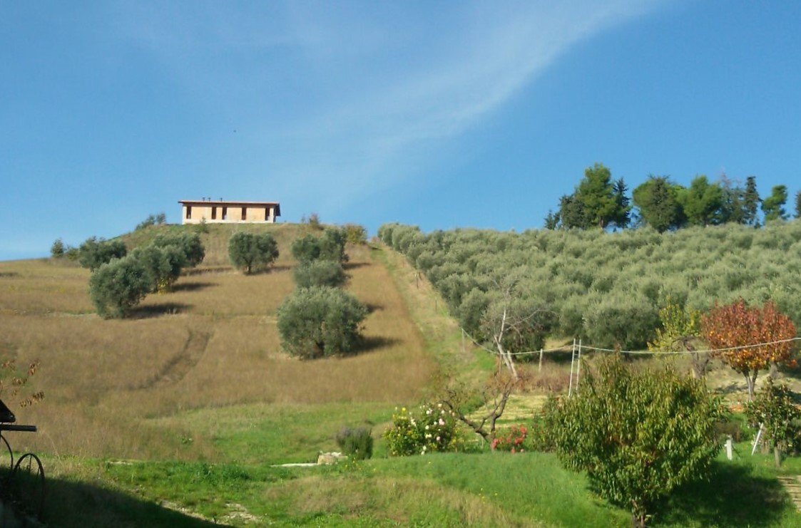 Casa indipendente con giardino a Offida