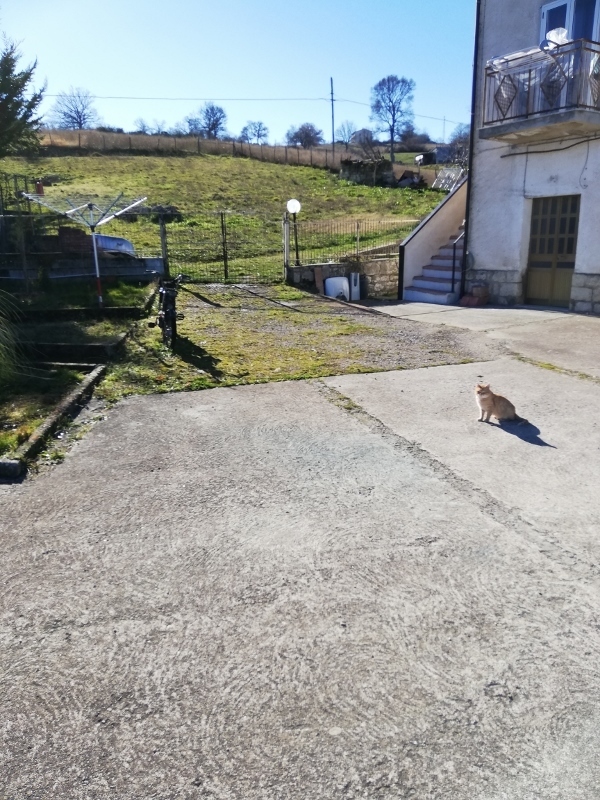 immagine annuncio 2 di 6