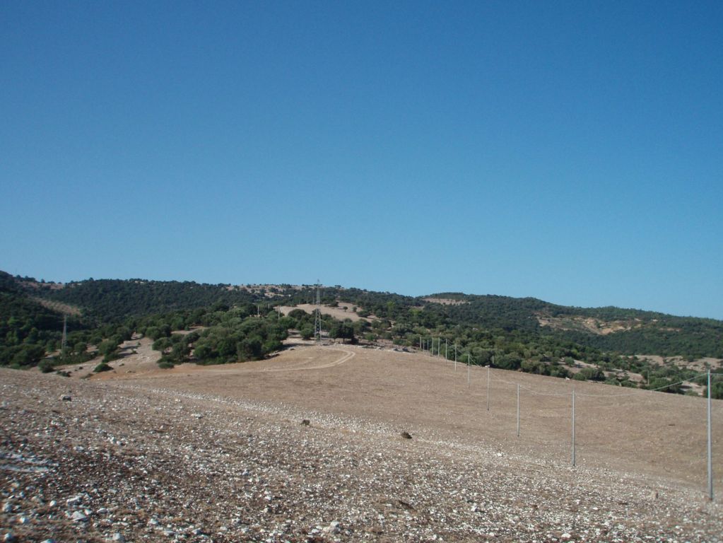 immagine annuncio 4 di 6