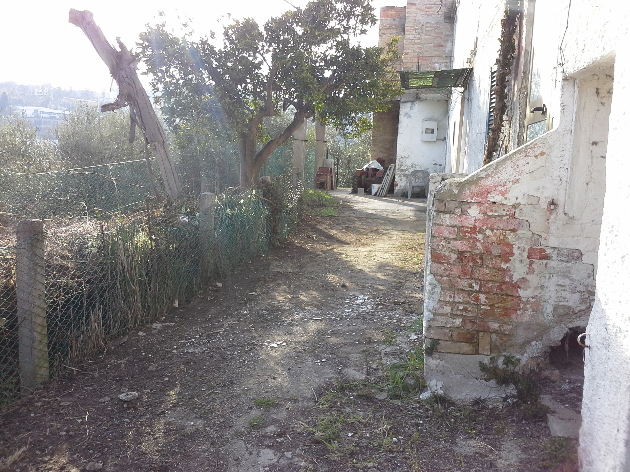 immagine annuncio 1 di 6