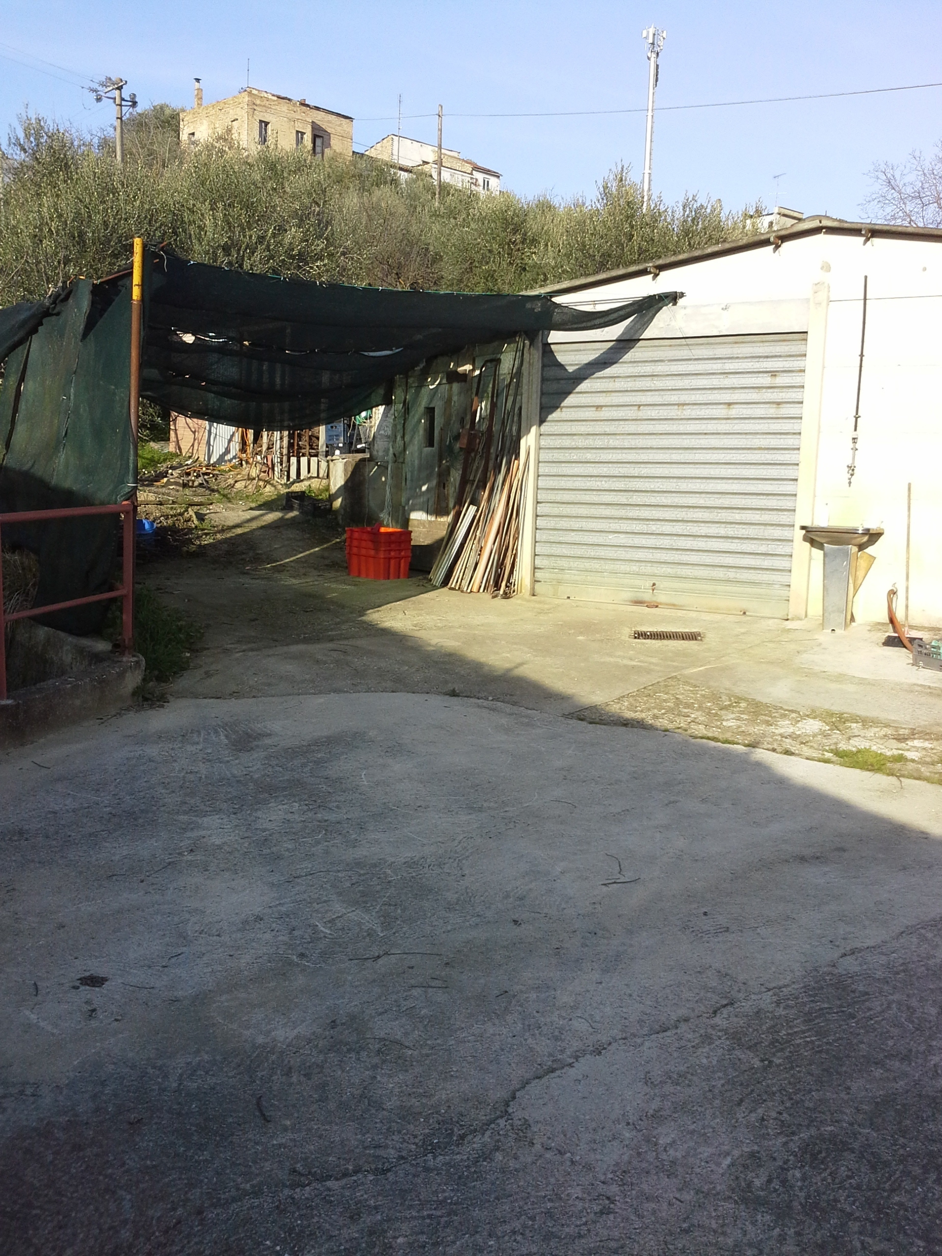 immagine annuncio 3 di 6