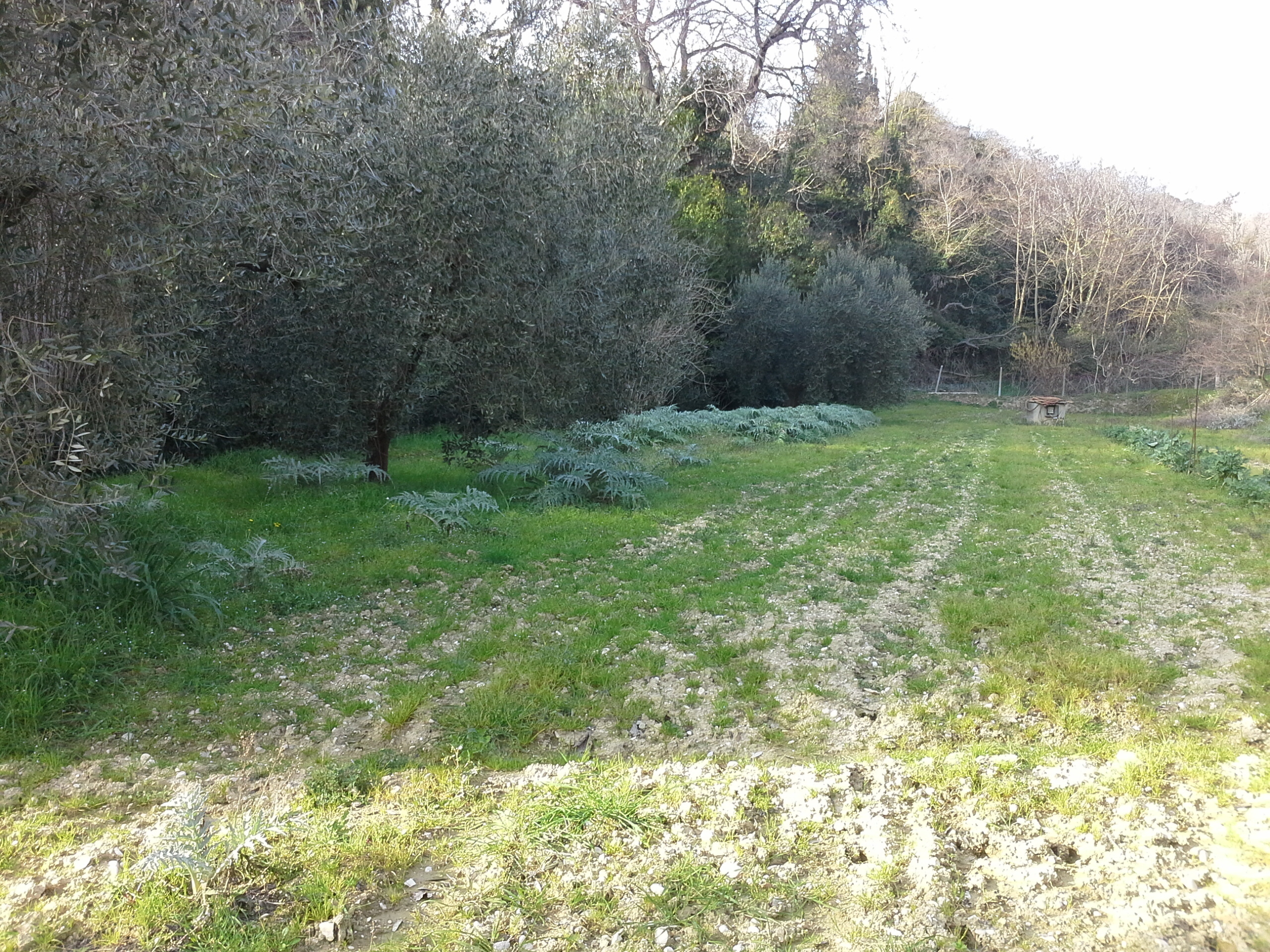 immagine annuncio 5 di 6