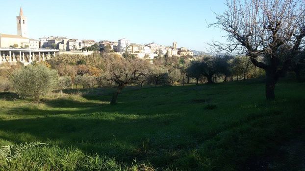 Terreno Edificabile nuovo a Appignano del Tronto