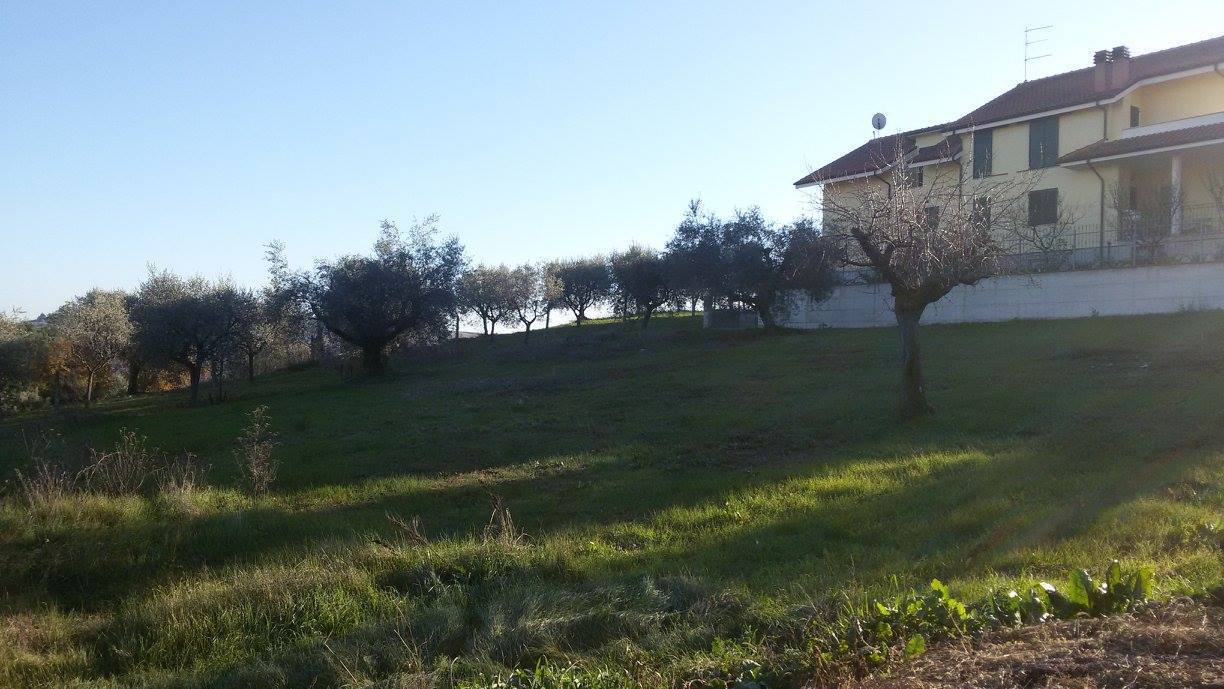 immagine annuncio 1 di 6