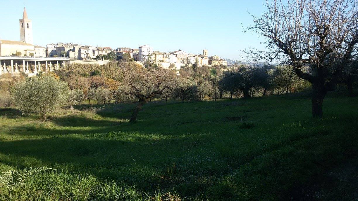 immagine annuncio 2 di 6