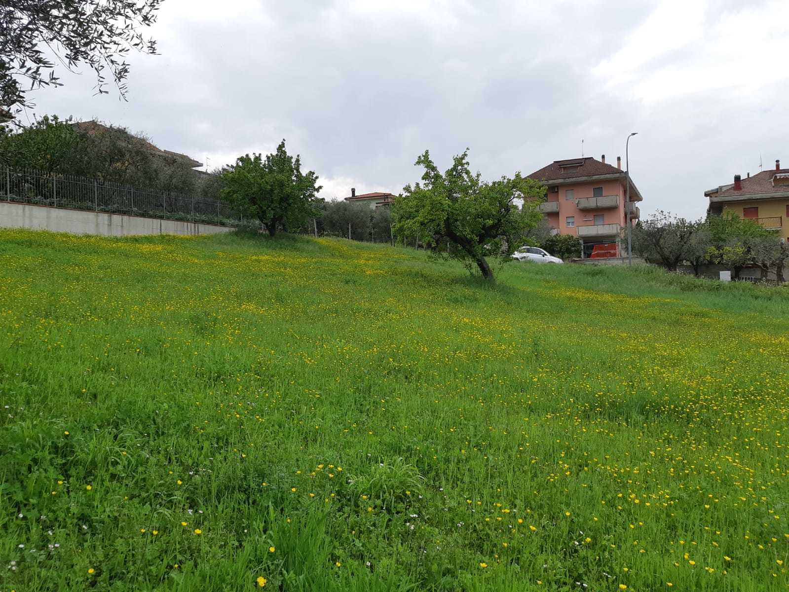 immagine annuncio 3 di 6