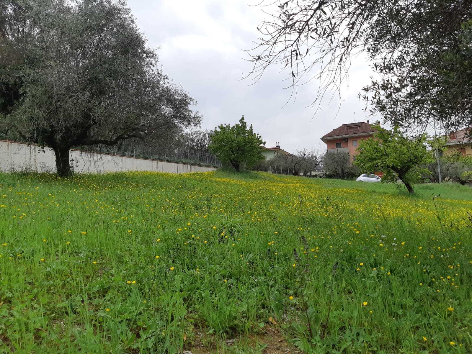 immagine annuncio 4 di 6