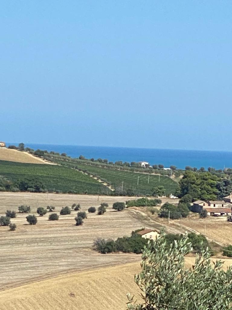 Terreno Edificabile vista mare a Colonnella
