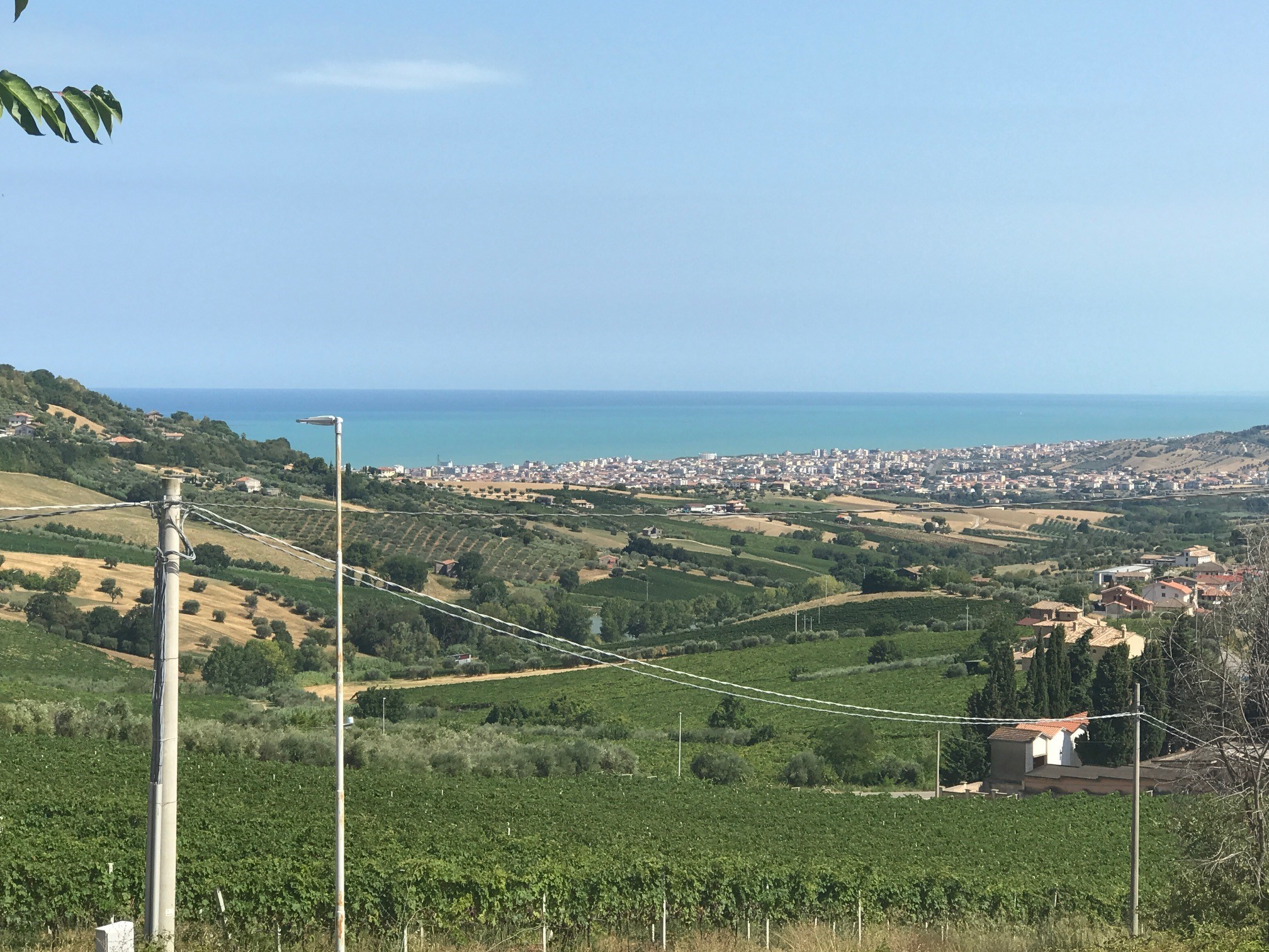 immagine annuncio 5 di 6