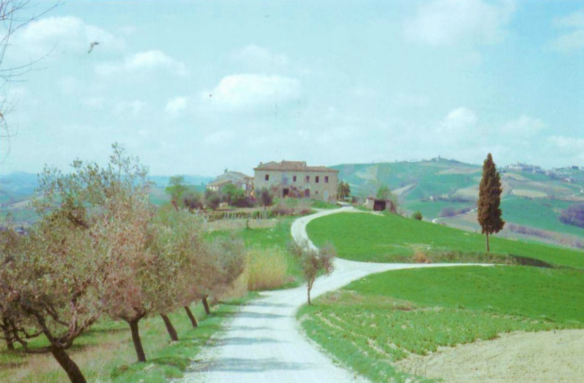 Casa indipendente da ristrutturare a Offida