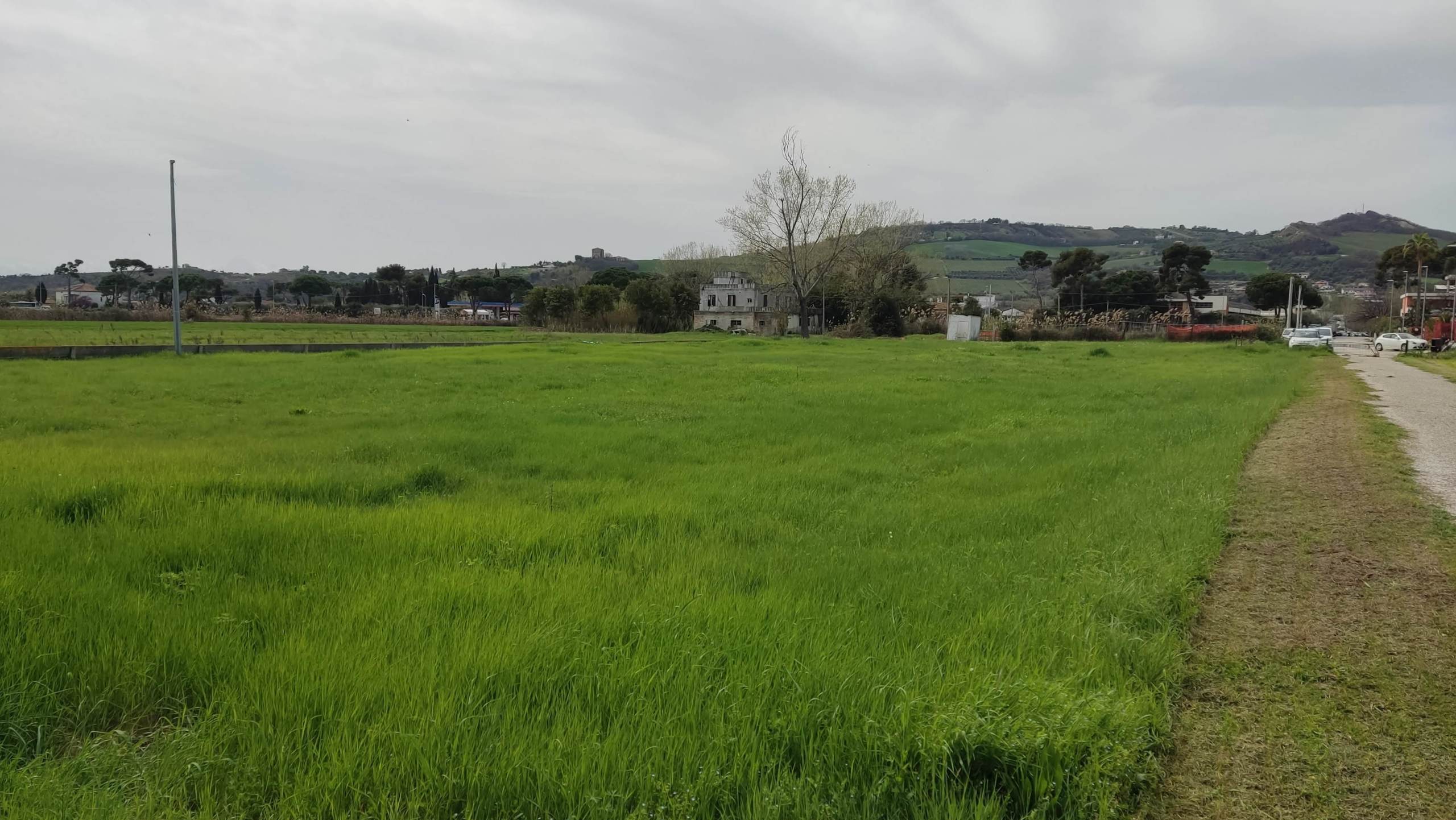 Terreno Industriale in vendita a Martinsicuro