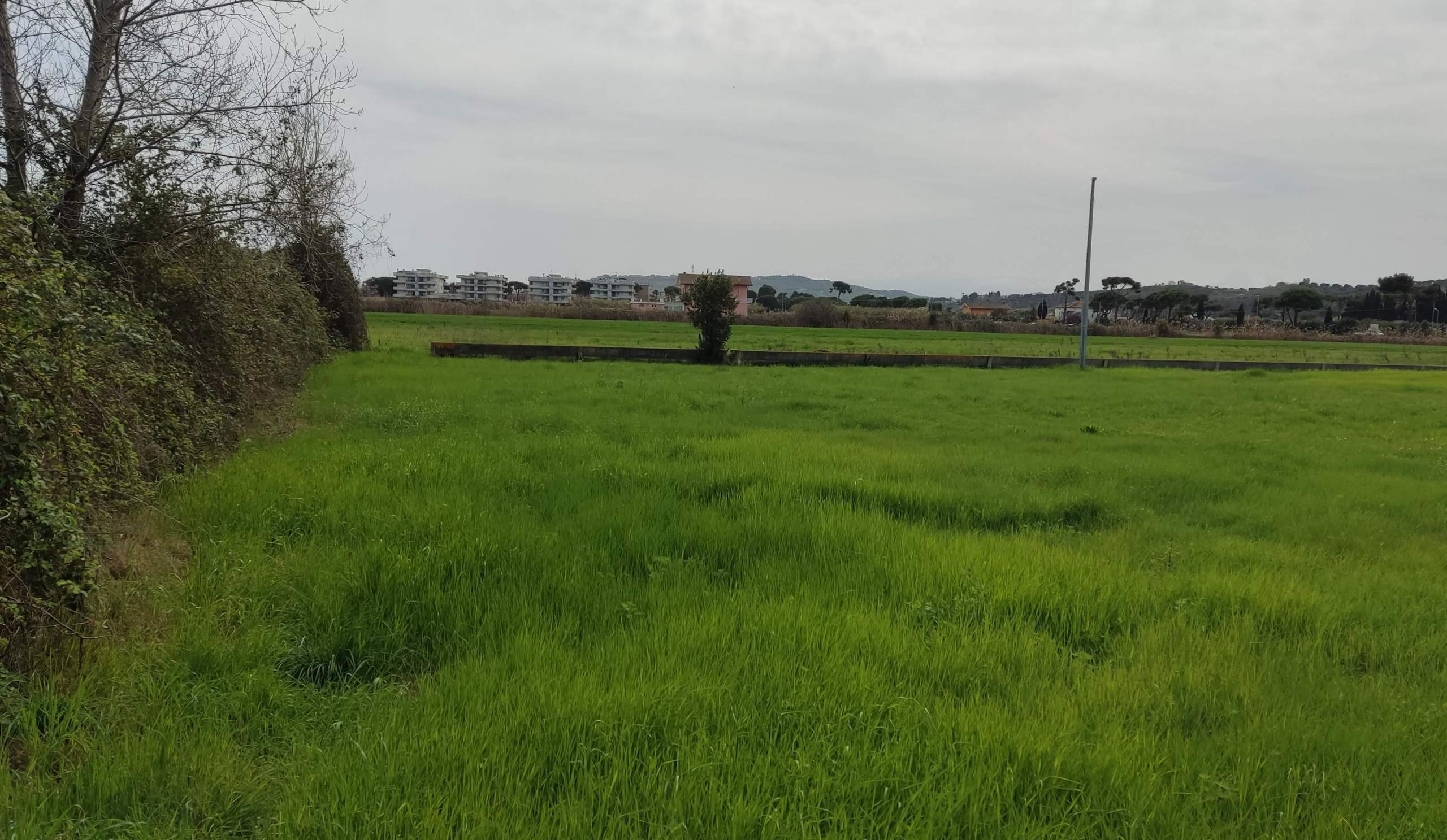 Terreno Industriale in vendita a Martinsicuro