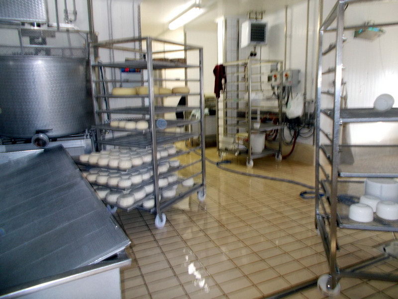 Laboratorio in vendita a Maltignano