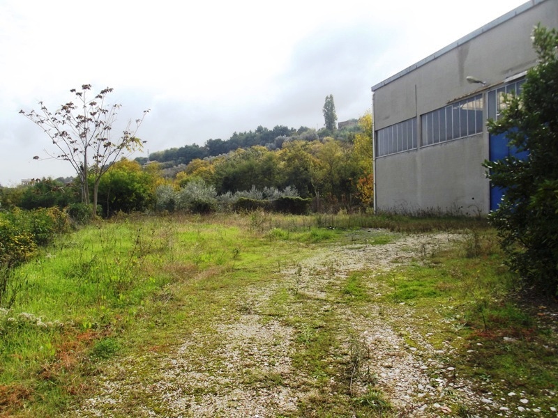 Capannone con terrazzi a Acquaviva Picena
