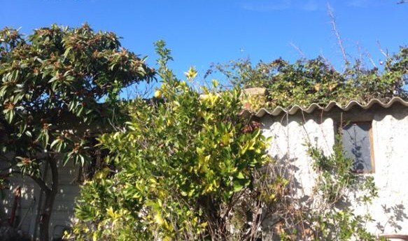 Casa indipendente con giardino in contrada ragnola, San Benedetto del Tronto