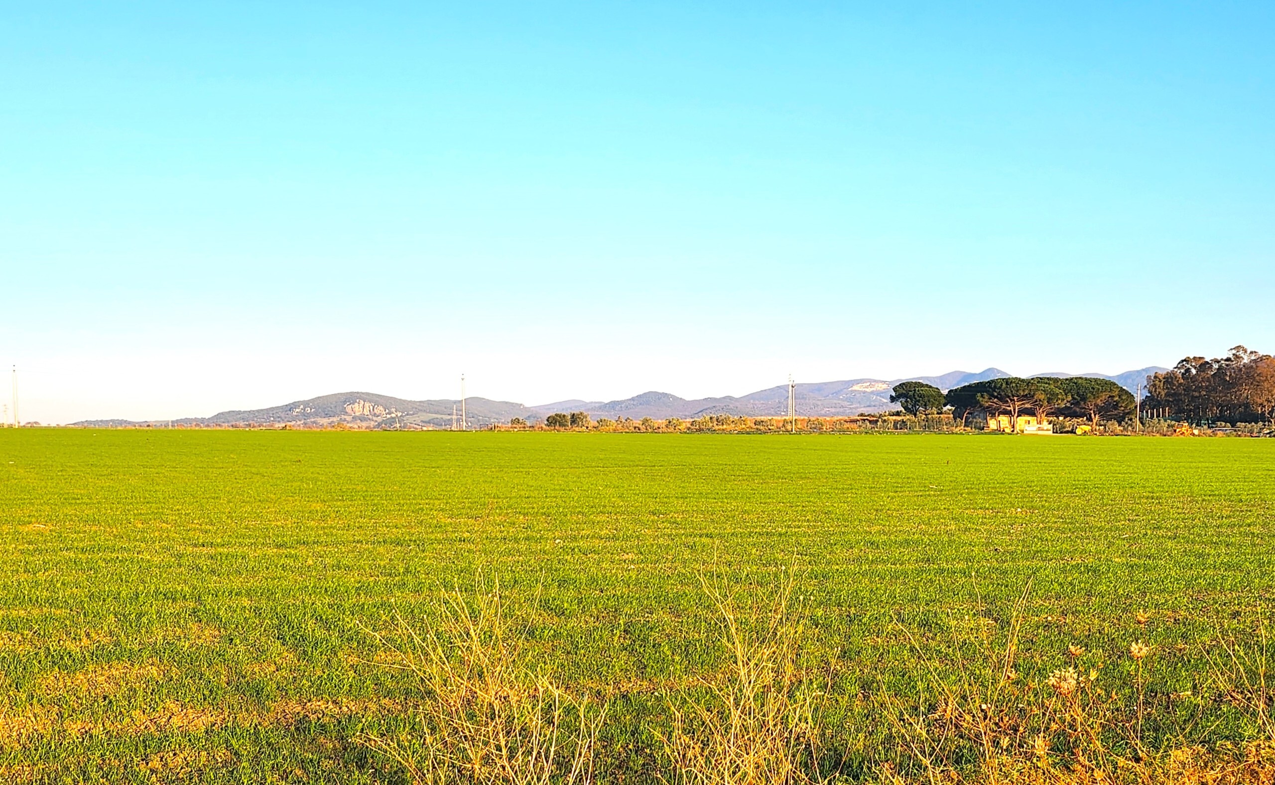 Terreno Industriale in vendita a Tarquinia