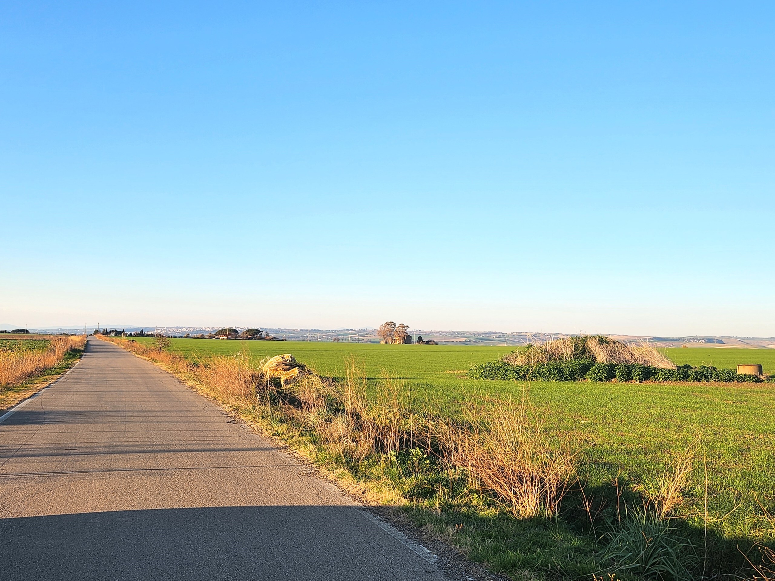Terreno Industriale in vendita a Tarquinia