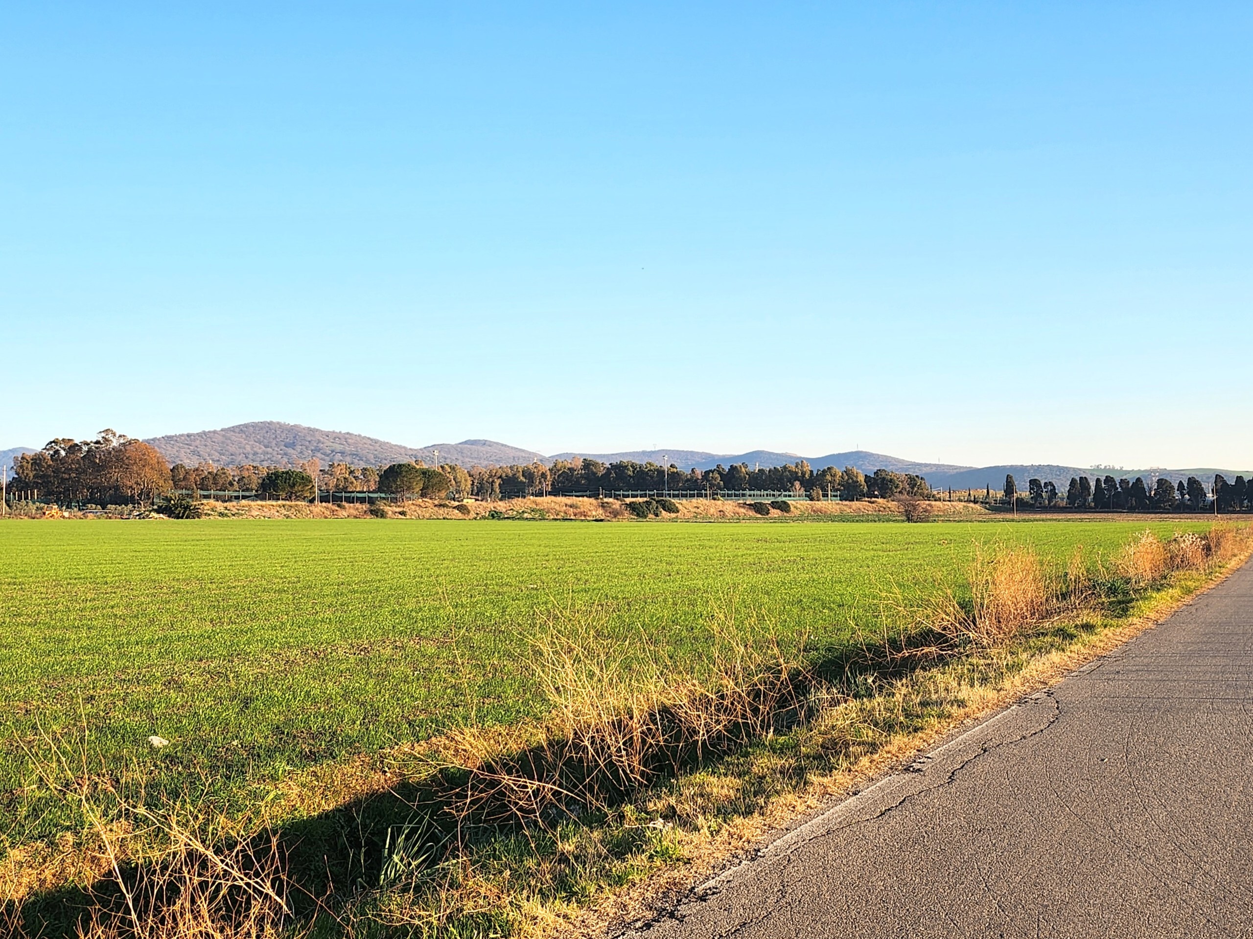 Terreno Industriale in vendita a Tarquinia