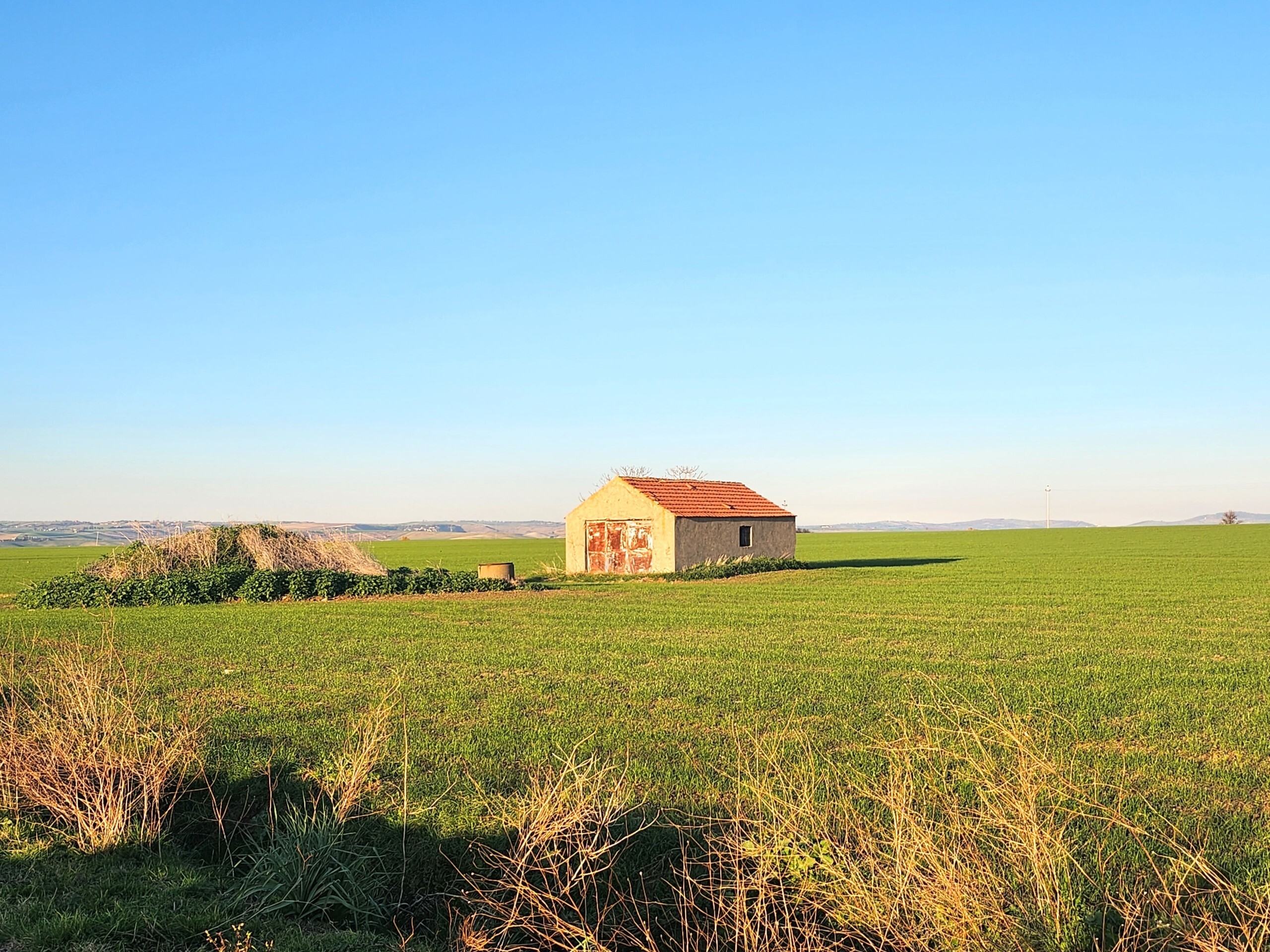 Terreno Industriale in vendita a Tarquinia