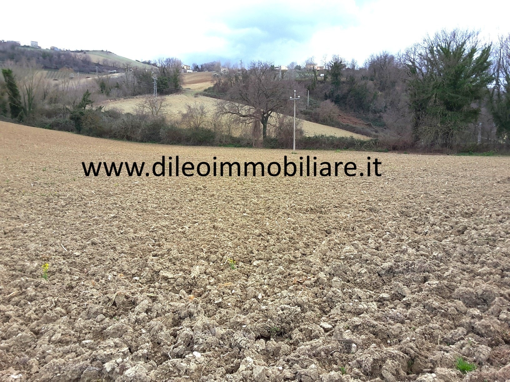 Terreno Agricolo in vendita a Carassai